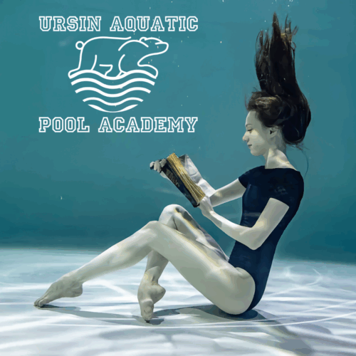 CPO® Recertification – 1-Day Fusion Class (In-Person or Online) - Image 3